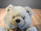 A&A Aurora  Beige and Brown Bear 1992 Plush