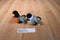 Ganz Webkinz Lil Kinz Robin and Chickadee beanbag Plush Sealed Code