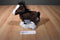 Ganz Webkinz Clydesdale Horse HM139 Beanbag Plush