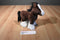 Ganz Webkinz Clydesdale Horse HM139 Beanbag Plush