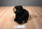 Bearington Collection Black Bear Beanbag Plush