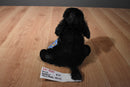 Ganz Webkinz black Poodle HM191 Beanbag Plush With Sealed Code