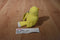 Ganz Webkinz Lil Kinz Canary HS511 Beanbag Plush With Sealed Code