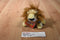 Ganz WebkinzLil Kinz Lion Beanbag Plush With Sealed Code