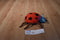 Kids Preferred Eric Carle The Grouchy Ladybug 2007 Plush