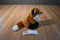 Wild Republic Sitting Red Fox Beanbag plush