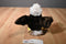 Wishpets Arley the Bald Eagle 2003 Plush