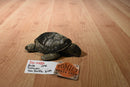 Russ Zonies Terrapin Sea turtle 1996 Beanbag Plush