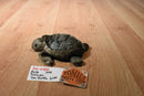 Russ Zonies Terrapin Sea turtle 1996 Beanbag Plush