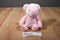 Kellybaby Pink Bear 2018 Rattle Plush