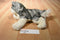 Douglas Cuddle Toys Jolie the Husky Dog  # 1885 Beanbag Plush