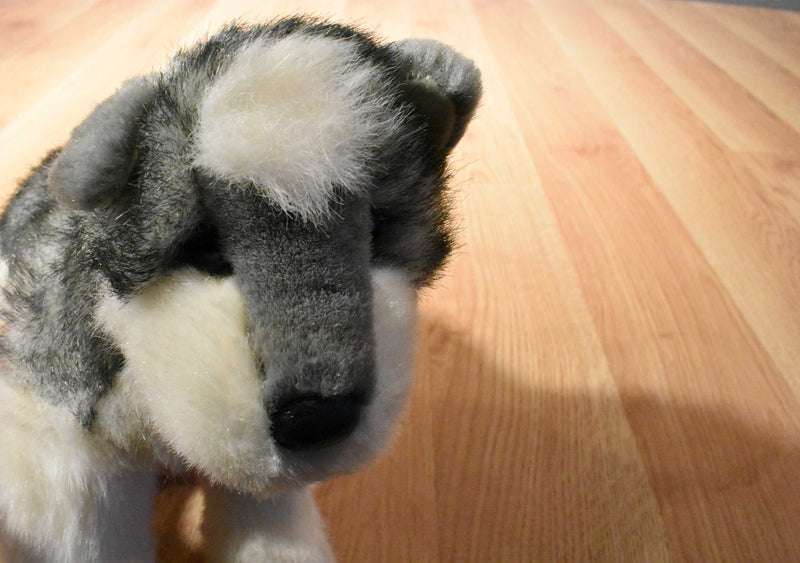 Douglas Cuddle Toys Jolie the Husky Dog