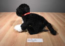 Build a Bear Portuguese Waterdog 2009 Plush