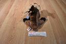 Ganz Webkinz Reindeer HM137 Beanbag Plush With Sealed Code