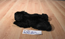 Ty Classic Baby Paws Black Bear 1995 Beanbag Plush