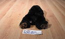 Ty Classic Baby Paws Black Bear 1995 Beanbag Plush