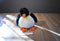 Unipak Plumpee Emperor Penguin Beanbag Plush