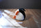 Unipak Plumpee Emperor Penguin Beanbag Plush