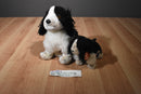 Ty Beanie Buddy 2002 and Baby 2001 Frolic Cocker Spaniel Beanbag Plushes