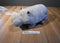 Walt Disney World Animal Kingdom Hippo Plush