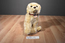 FAO Schwarz Golden Retriever 2015 Beanbag Plush