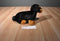 Aurora Black and Brown Dachshund Dog Beanbag Plush