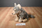 Wild Republic Sitting Wolf 2016 Beanbag Plush