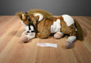 Passport Hugfun Brown and White Pinto Paint Horse Pony Plush