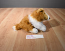 Animal Alley Sable(Brown) and White Collie Beanbag Plush