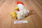 Gold 'n Plump Cooper the Super Chicken Guy 2000 Beanbag Plush