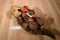 Aurora Sea Otter Cali Large Stuffed and Small Beanbag Plush