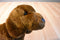 Douglas Gretel Red Dachshund Dog Plush