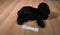 Aurora Black Lab Puppy Dog Beanbag Plush