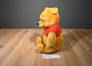 Disney World Pooh Bear Plush