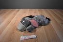 Walt Disney World Eeyore Beanbag Plush