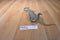 Safari Ltd. 2010 Grey and Black Apatosaurus Dinosaur