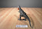 Mattel 2019 Jurassic World Tarbosaurus Dinosaur Action Figure