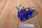 Mattel Fisher Price Imaginext Power Rangers Blue Triceratops Zord