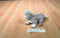 Hasbro Fur Real Newborn Grey and White Kitten 2009