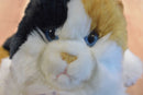 Aurora Esmeralda the Calico Cat Plush Puppet