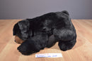 Ty Classic Paws Black Bear 1996 Beanbag Plush