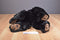 Ty Classic Paws Black Bear 1996 Beanbag Plush