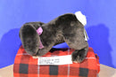 Commonwealth Dark Brown Bunny Rabbit 2003 Beanbag Plush