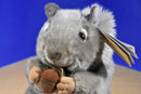 Aurora Miyoni American Gray Squirrel 2014 Beanbag Plush