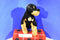 Dan Dee Collectors Choice Rottweiler Black Brown Dog Plush