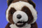 A&A Brown and White Raccoon 1992 Plush