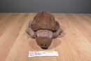 Wild Republic Brown Tortoise 2013 Beanbag Plush