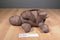 Wild Republic Brown Tortoise 2013 Beanbag Plush