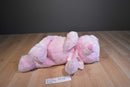 Baby Ganz My First Teddy Pink Bear Beanbag Plush