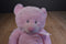 Baby Ganz My First Teddy Pink Bear Beanbag Plush